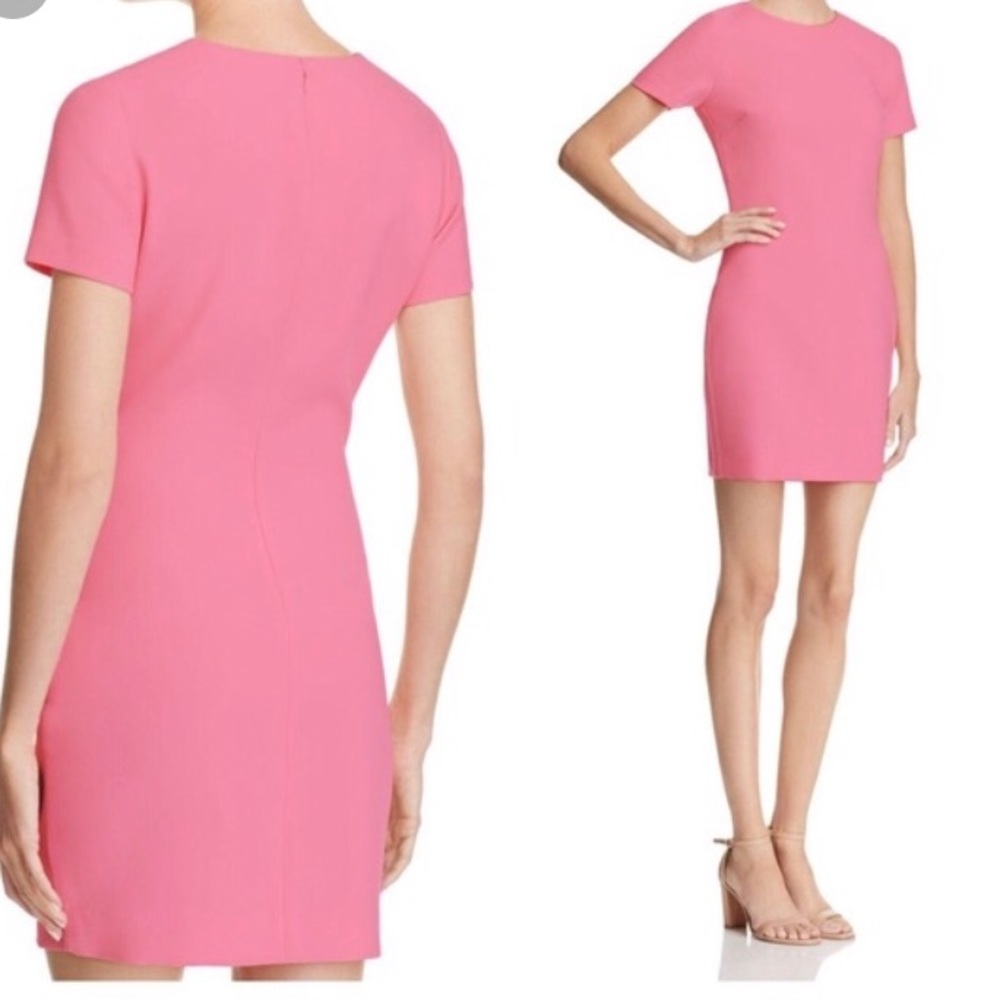 NWT Likely Manhattan dress in Pink